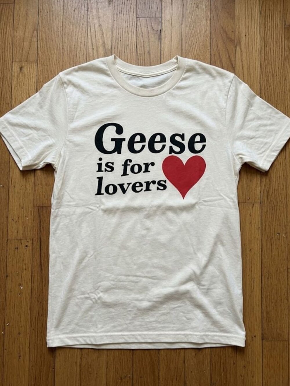 Geese Getting Killed Again Fall Tour 2026 Is For Lovers T-Shirt Reprint